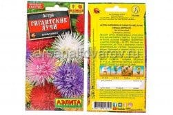 Семена Астра однолетник Гигантские лучи смесь окрасок игольчатая 0,2 г, артикул УТ000092996