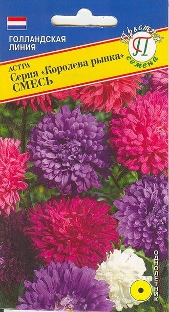 Семена астра Королева рынка смесь 0,3 по10шт, артикул УТ000061617