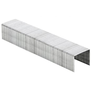 Скобы Ritter для степлера  6 мм (Тип 53) из нержавеющей стали, с зубьями (500 шт. в уп., артикул HT520653